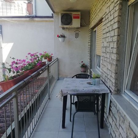 Apartments Jadranka Ivana プーラ エクステリア 写真